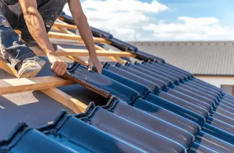 Couverture - La Buisse